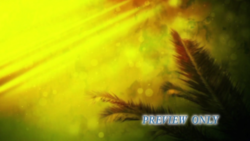 Read more about the article Palm Sunday Branch Motion Background