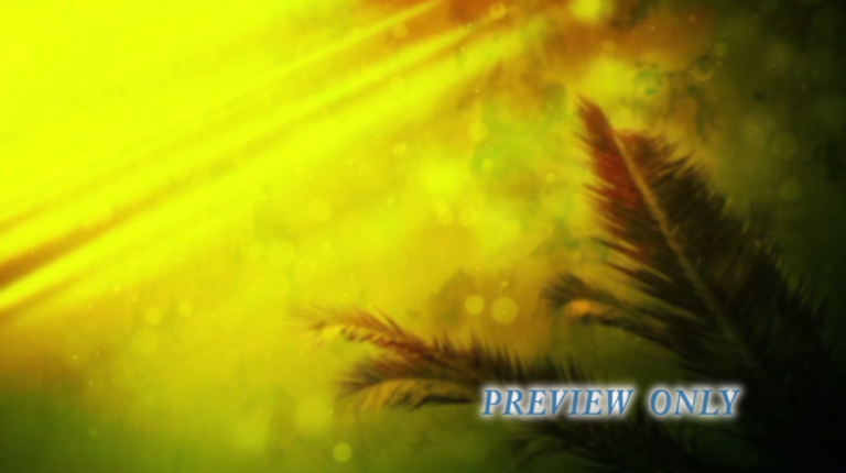 Read more about the article Palm Sunday Branch Motion Background