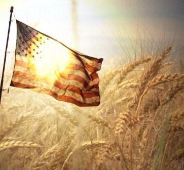 America The Beautiful: HD Patriotic Motion