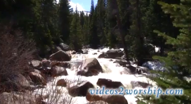 Read more about the article FREE HD Mountain River and Evergreen