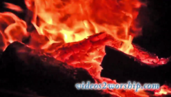 Read more about the article Camp Fire: 720p Motion Background