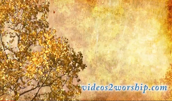 Read more about the article Fall Motion Background: Gold Aspen Tree