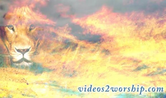 Read more about the article Lion And Clouds Background Video Loop