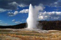 Read more about the article Old Faithful