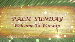 Palm Sunday Welcome Motion Loop