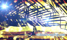 Palm Sunday Bible And Palm Branch Motion