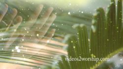 Hosanna Palm Sunday Background Loop
