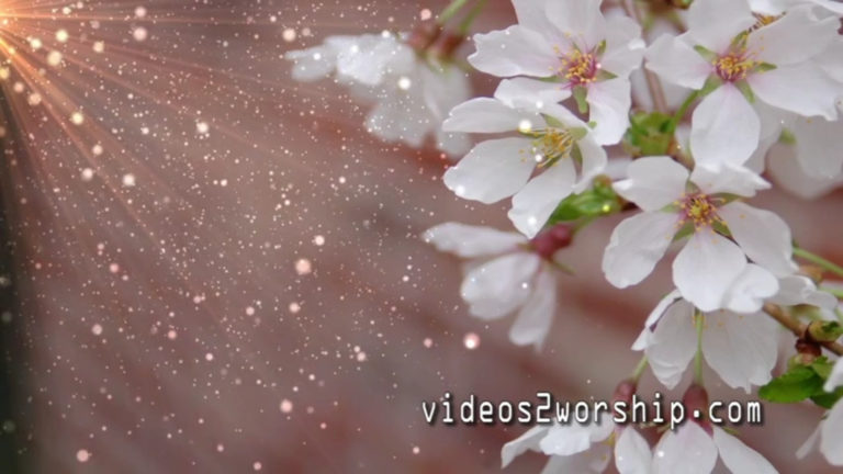 Read more about the article Spring Flowers: Easter Resurrection Loop