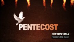Read more about the article Pentecost Text Dove And Tongues Of Fire