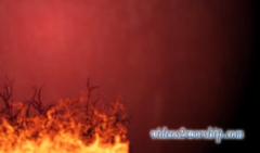 Read more about the article Burning Bush Motion Background
