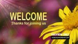 Read more about the article Church Welcome Spring And Summer