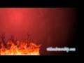Burning Bush Motion Background