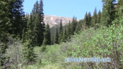 Read more about the article Mountains And Evergreen Loop