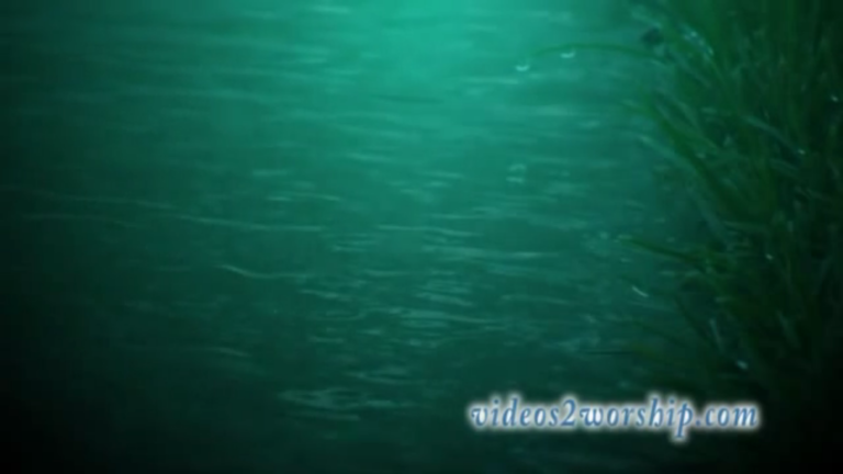 Read more about the article Rain Motion Background