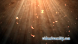 Read more about the article Falling Leaves Motion Background