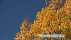 Autumn Nature Worship Motion Background 