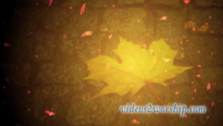 Read more about the article Autumn Falling Leaves Worship Loop