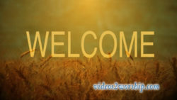 Read more about the article Autumn Church Welcome Motion