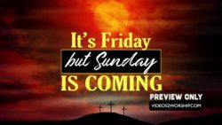 It Is Friday But Easter Sunday Is Coming