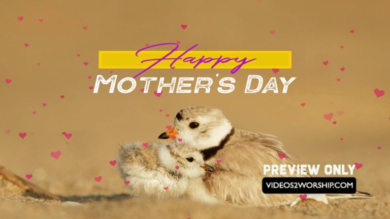 Read more about the article Happy Mothers Day Text Hearts And Birds