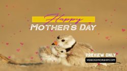 Still: Happy Mom Day