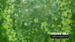 Read more about the article Mother’s Day Ring Of Flowers