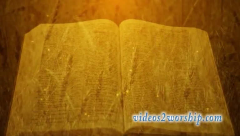 Read more about the article Thanksgiving: Bible and Wheat Background