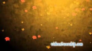 Read more about the article Fall Worship: Flying Leaves