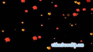 Read more about the article Falling Leaves Free Motion Backdrop