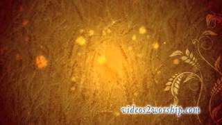 Read more about the article Thanksgiving Wheat Worship Motion