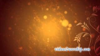 Read more about the article Thanksgiving And Fall Motion Background