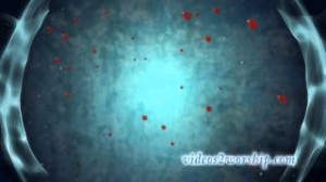 Read more about the article Energy Ring And Red Petals