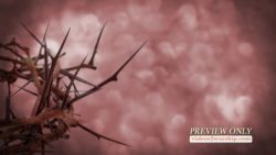 Read more about the article Crown Of Thorns Worship Motion