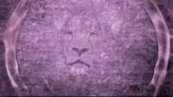 Read more about the article Lion Worship Motion Video