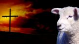Lamb And Cross Easter Background