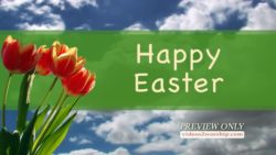 Read more about the article Happy Easter Motion Title Loop