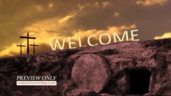 Read more about the article Easter Welcome Motion Background