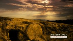 Read more about the article Empty Tomb: Easter Resurrection