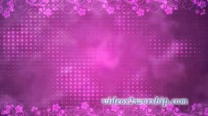 Read more about the article Mother’s Day Pink Motion Loop