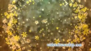 Read more about the article Ring Of Flowers Looping Video