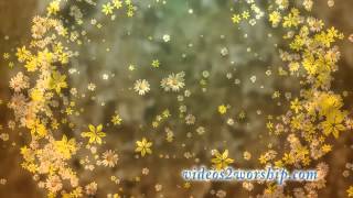 Read more about the article Ring Of Flowers Looping Video