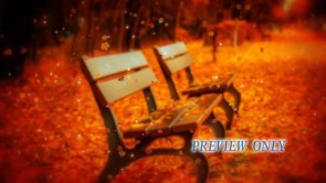 Read more about the article Autumn: Bench And Leaves In The Park