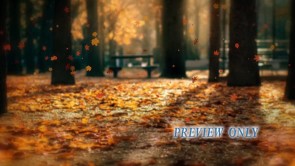 Read more about the article Falling Leaves In The Park: Autumn Loop