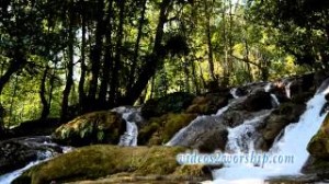 Read more about the article Waterfall: Nature Worship Background