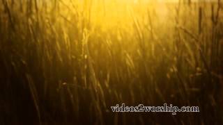 Read more about the article Tall Grass: Summer Worship Background
