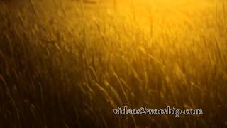 Read more about the article Tall Grass: Fall Worship Motion