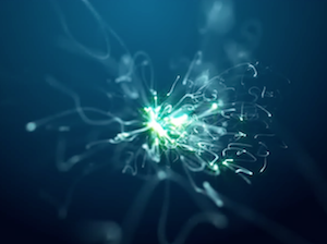 Read more about the article Contemporary Worship Motion Loop