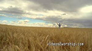 Read more about the article Man Worshiping In Wheat Field Backdrop