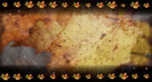 Read more about the article Autumn Still Worship Slide