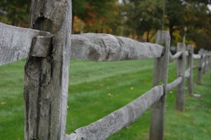 Read more about the article Wooden Fence During Autumn